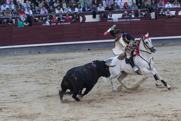 Rejoneo in las ventas arena in madrid. rejoneador: joao moura. — Stockfoto