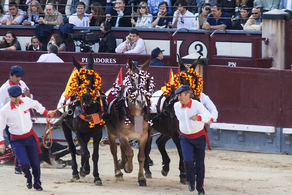 Bullfight at las Ventas — Stock Photo, Image
