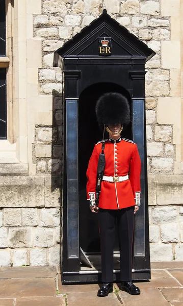 Guard at the Tower — Stock Photo, Image