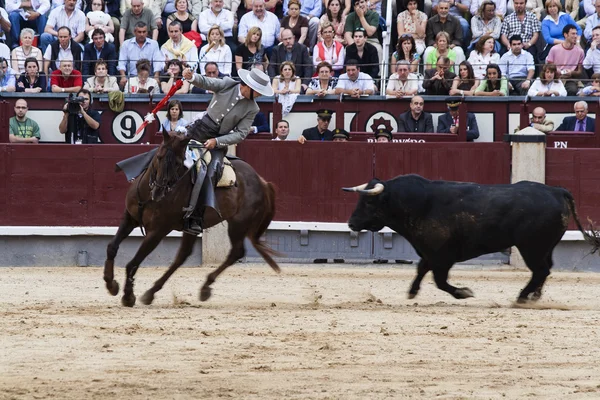 Rejoneo at Las Ventas arena in Madrid. Rejoneador: Sergio Galan — Stock Photo, Image