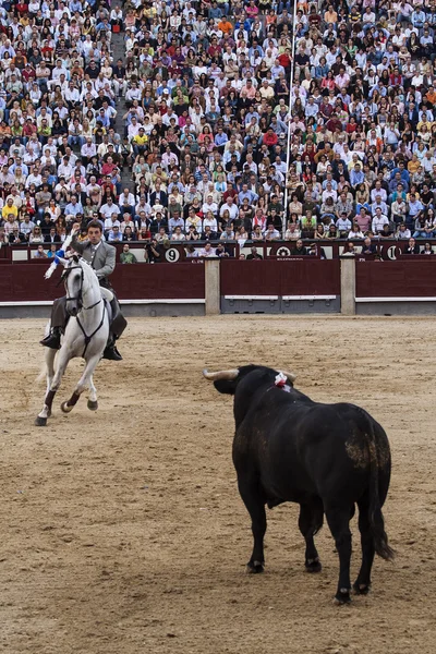 Madrid'deki las ventas Arena rejoneo. rejoneador: sergio galan
