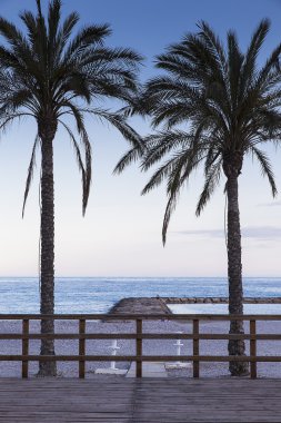 dawm, benicassim, Palm beach