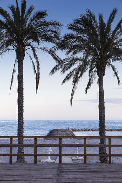 dawm, benicassim, Palm beach