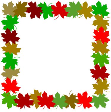 akçaağaç yaprağı çerçeve resimde