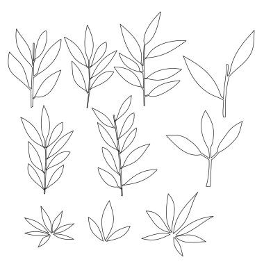 Anahat bitki bir dizi