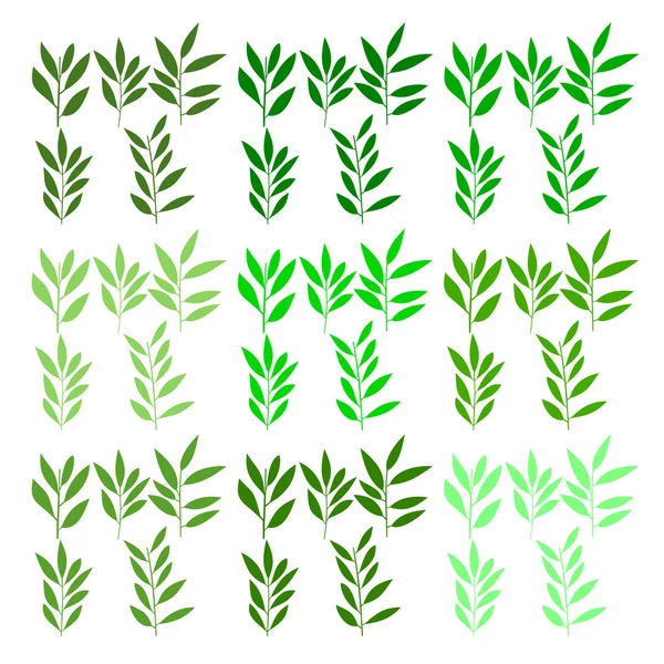 Set of reed or wheat — Stock Vector