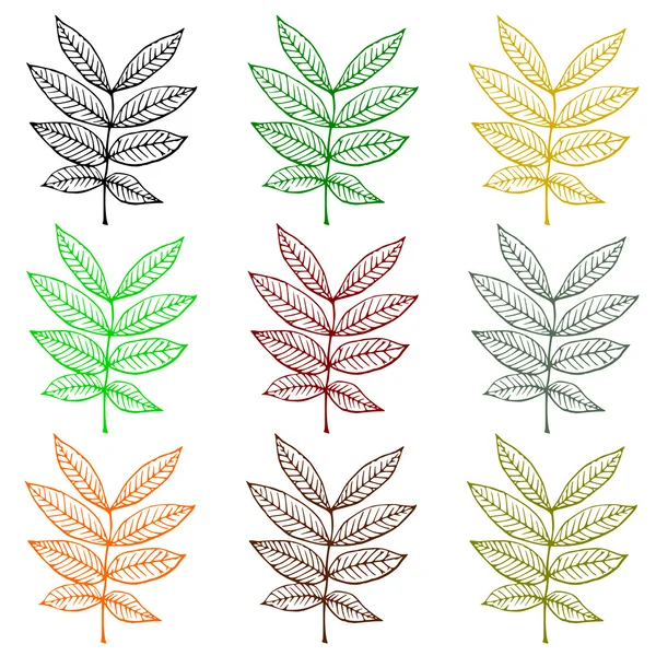 Ensembles de plantes contour multicolore — Image vectorielle
