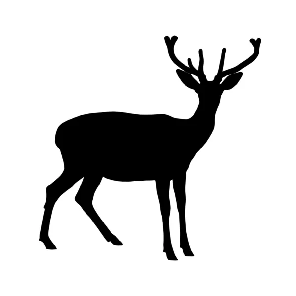 休憩鹿 — ストックベクタ