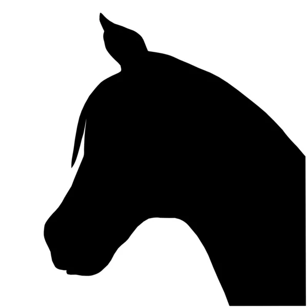 Cabeza y cuello de caballo — Vector de stock