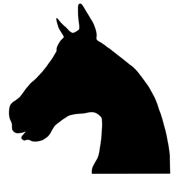 Tête et cou de cheval — Image vectorielle