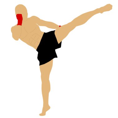 yüksek tekme yaparken fighter