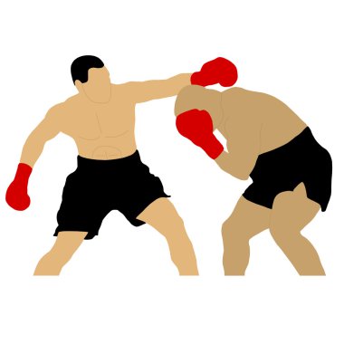 İki boksör mücadele