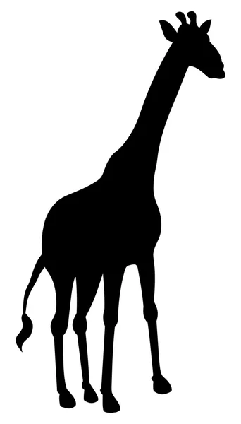 Stín žirafa — Stockový vektor