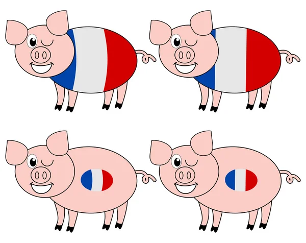 Franska gris avel — Stock vektor