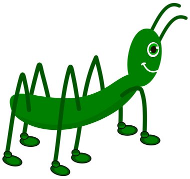 yeşil çekirge profili