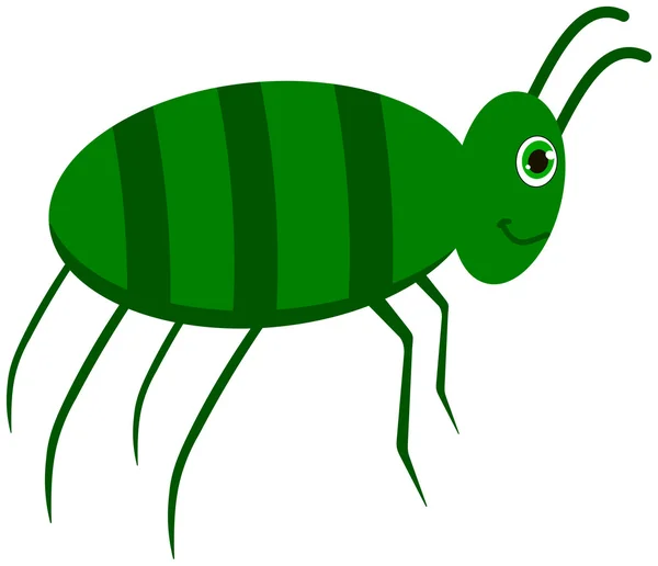 A green cockroach — Stock Vector