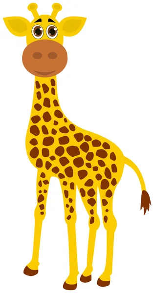A single giraffe — Stock Vector