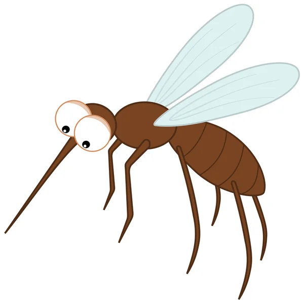 Sting mosquito with big eyes — Stock Vector