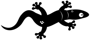 bir kertenkele gölgesinde