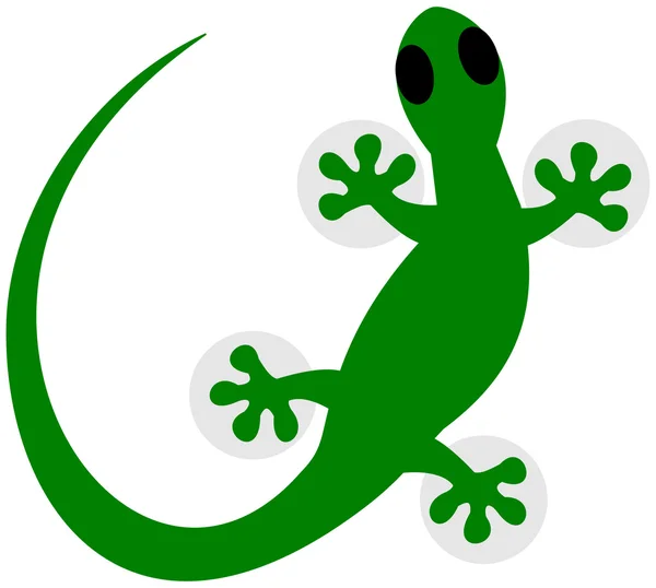 A lizard in green shadow — Stock Vector