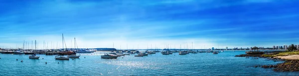 Praia Panorâmica e Marina — Fotografia de Stock