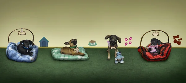 Dört küçük yavru köpeklerde bir arka plan. — Stok fotoğraf