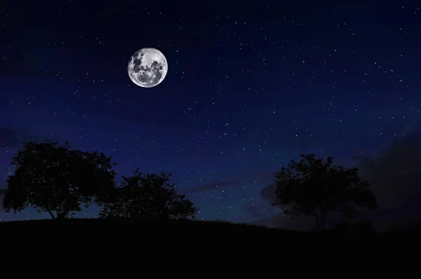 Luna llena en el bosque Fotos de stock libres de derechos