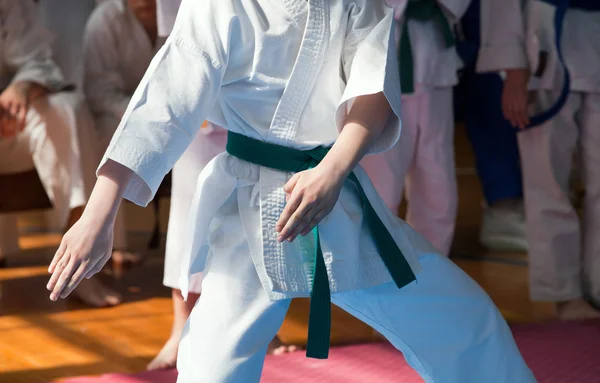 Formazione di karate — Foto Stock
