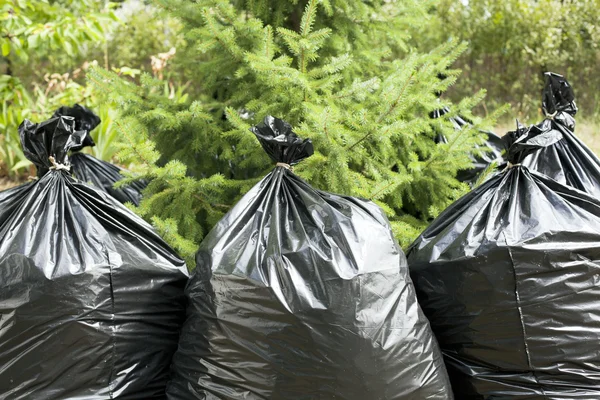 Bolsas de basura — Foto de Stock