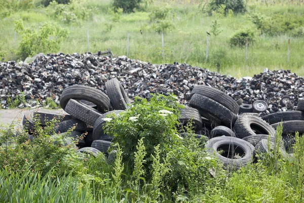 Pile of old tires in the nature — Stock Photo, Image