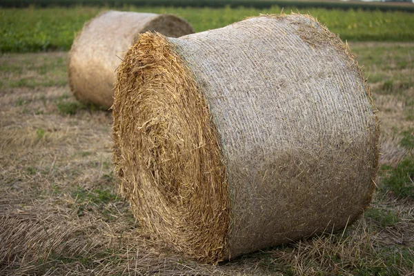 Hay bale — Stock Photo, Image