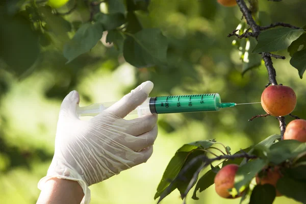 Frutas geneticamente modificadas — Fotografia de Stock