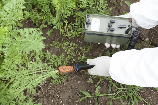 Measuring radiation levels of vegetable — Stock Photo, Image