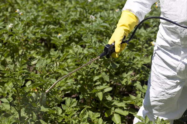 Распыление пестицидов — стоковое фото