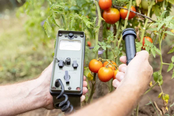 Measuring Radioactivity Vegetable Nuclear Plant Disaster — Stock Photo, Image