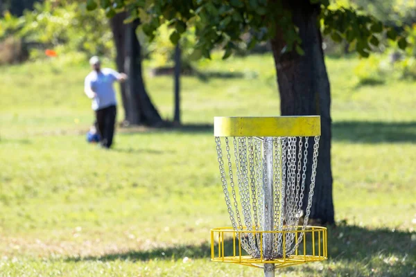 Spelen Vliegende Disc Golf Sport Spel Natuur Doel Mand Focus — Stockfoto