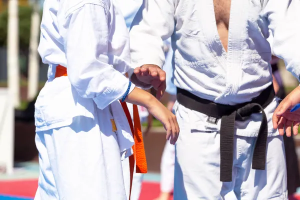 Artes Marciales Entrenamiento Deportivo Clase Escolar —  Fotos de Stock