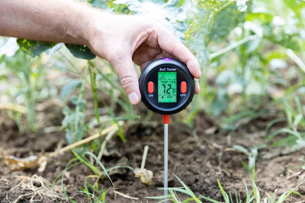 Measuring Temperature Moisture Content Soil Environmental Humidity Illumination Vegetable Garden — Stock Photo, Image
