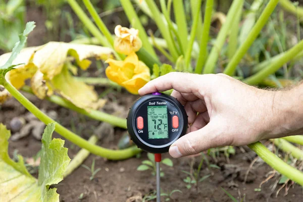 Soil Test Measuring Temperature Moisture Content Greenhouse Effect Global Warming — Stock Photo, Image
