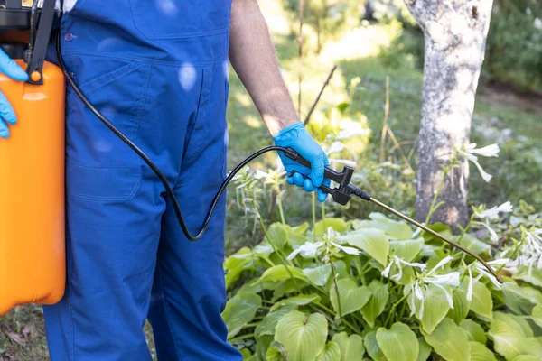 Pest Control Worker Spraying Insecticides Pesticides Garden — Stockfoto