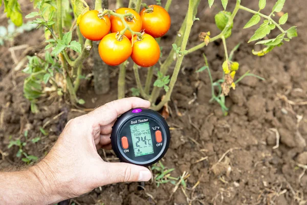 Measuring Temperature Moisture Content Soil Environmental Humidity Illumination Vegetable Garden — Stock Photo, Image