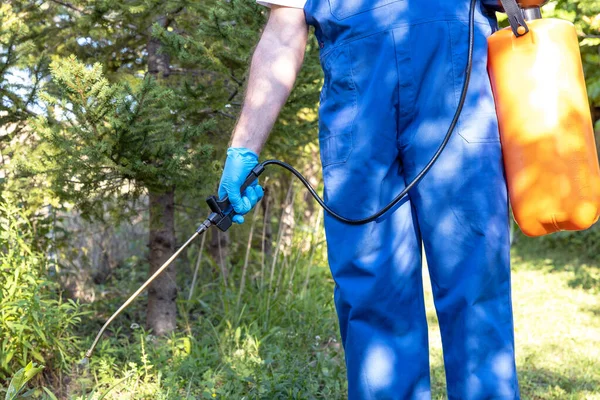 Pest Control Worker Spraying Insecticides Pesticides Garden — Stok fotoğraf