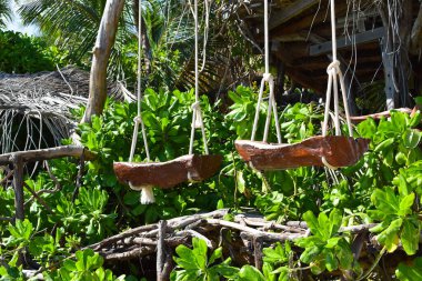 Tropikal bölgelerde rahatlama yeri. Güneşli Asya 'da dinlen. Tropik yaz doğa manzarası.  