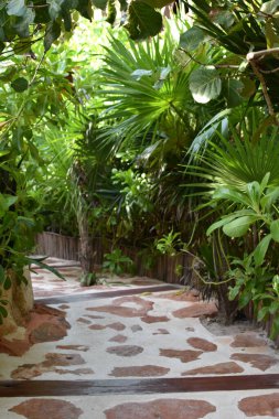 Sahilde güzel bir gün batımı. Tropik bir kaçamak için cennet. Meditasyon, rahatlama, doğa, zevk.