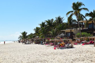 Tropikal bir sahilde dinlenme yeri. Egzotik bir tatil köyünde güneşleniyorlar. Güney 'in resimli manzarası. palmiyeler ve yataklar