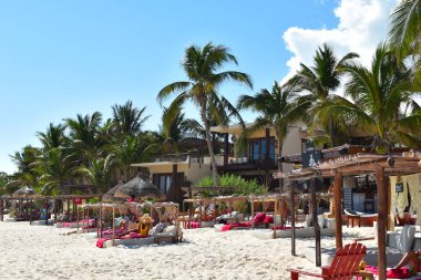 Tropikal bir sahilde dinlenme yeri. Egzotik bir tatil köyünde güneşleniyorlar. Güney 'in resimli manzarası. palmiyeler ve yataklar