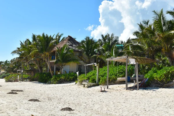 Luogo Riposo Una Spiaggia Tropicale Lettini Resort Esotico Paesaggio Pittoresco — Foto Stock