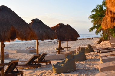 Tropik deniz manzarası. Palmiye ağaçları ve deniz ile turistik tatil beldesi. Ağaçlı güzel sahil.