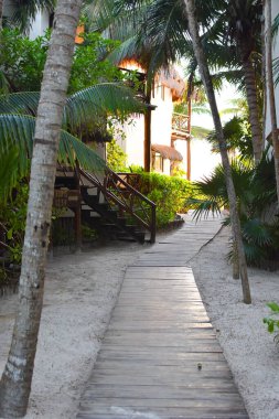 Tropik deniz manzarası. Palmiye ağaçları ve deniz ile turistik tatil beldesi. Ağaçlı güzel sahil.