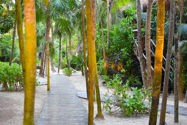 Paisaje Paisajístico Marino Tropical Destino Turístico Vacaciones Con Palmeras Mar — Foto de Stock